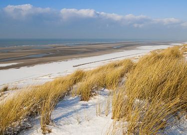 Logement de vacances dans un beau parc à proximité de la mer - 31
