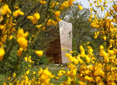 Forest cabin with unique roof terrace on the Veluwe - 17