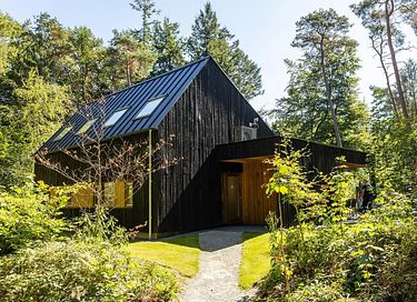 Wellness bungalow with a view in the forest - 2