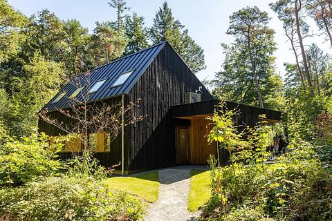 Wellness bungalow with a view in the forest - 2