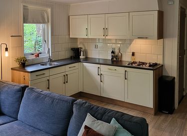 Maison dans la forêt avec sauna à Vechtdal - 8