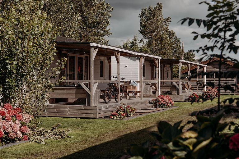 Logement de vacances au milieu des champs de bulbes - 1
