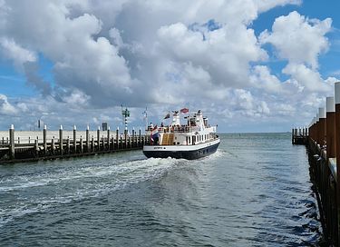 Overnachten op een unieke locatie op Texel - 25