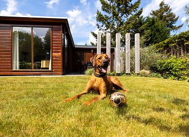 Bungalow familial en pleine nature - 20