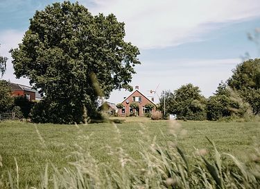 Tent cabin (sleeps 6) in the Groningen countryside - 23
