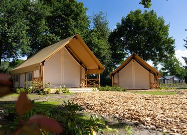 Glampingtent in Brabant - 3