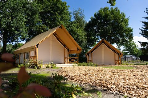 Glampingtent in Brabant - 3