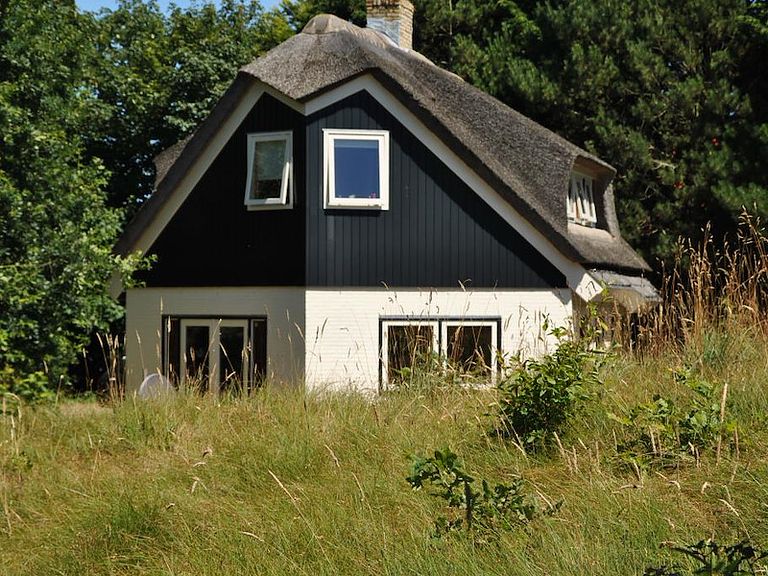 Forest cabin on Texel (8p) - 1
