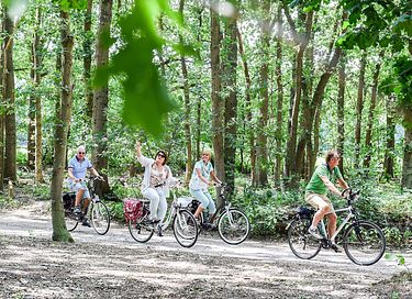 Luxe vakantiehuis in de Gelderse Vallei - 46