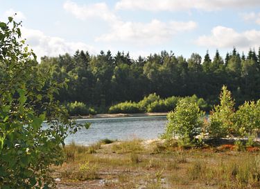 Belle maison de bien-être à Drenthe - 32