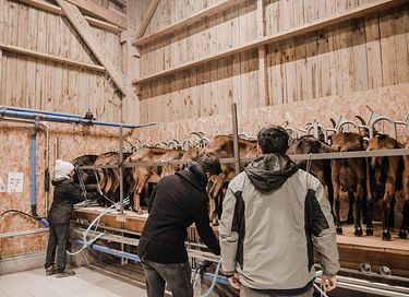 Stay among the goats in this tiny house - 17