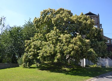 Verbringen Sie die Nacht in einer einzigartigen Kapelle (Kirche) - 8