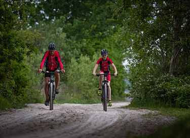 Gruppenunterkunft (16 Personen) in Drenthe - 37