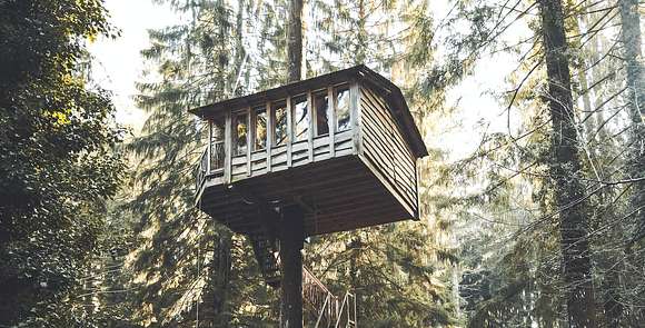 Boomhut overnachting