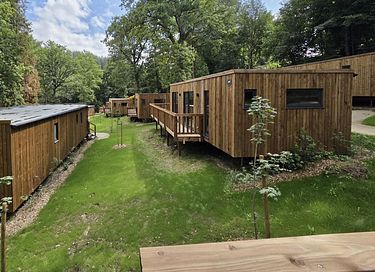 Ecolodge in de Ardennen (huisdieren welkom) - 15