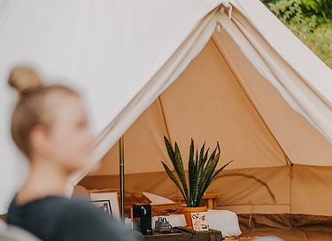 Stijlvolle glamping in Bell Tent - 14
