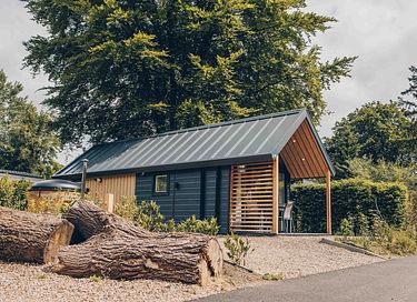 Joli tiny house avec bain nordique, Veluwe - 3
