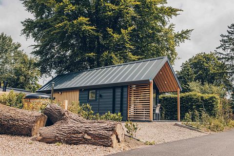 Joli tiny house avec bain nordique, Veluwe - 3