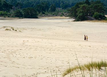 Lodge nature (4 personnes) avec wellness privé - 42