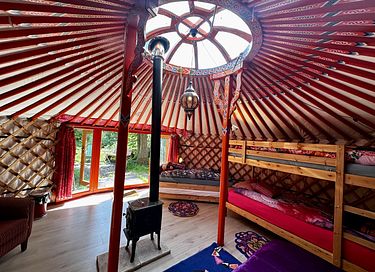Yourte colorée dans un camping écologique à Groningue - 9