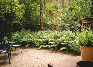 Attractive holiday home in the forest in Belgium - 29