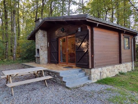 Forest cabin Ardennes (dog welcome) - 2