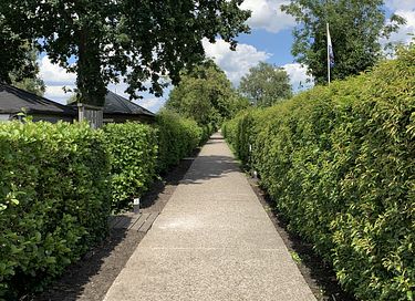 Glamping direkt an den Vinkeveen-Seen - 35