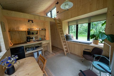 Prachtig tiny house in het bos - 3