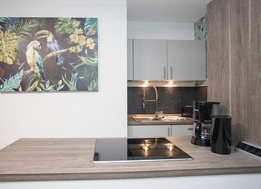 Appartement naast de golfbaan van Winterberg - 16