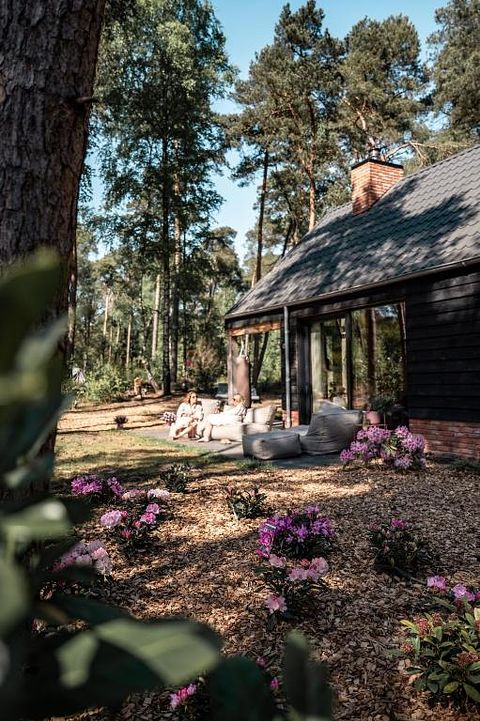 Lodge de luxe en pleine forêt avec spa privé - 4