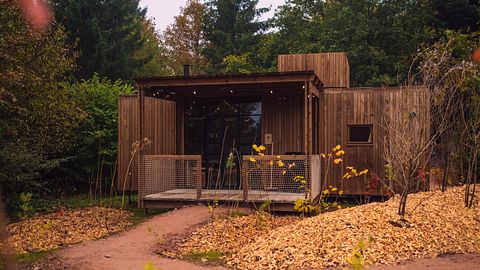 Cabine spacieuse en pleine nature française - 2