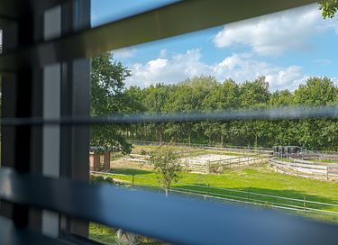 Spend the night overlooking the woods - 20
