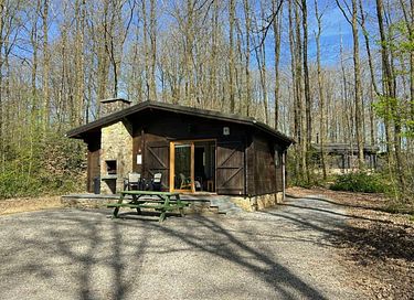 Cozy forest cabin in the Ardennes, dogs welcome - 2