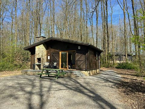 Cozy forest cabin in the Ardennes, dogs welcome - 2