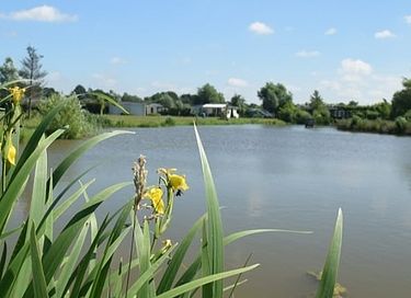 Rustig gelegen (duurzaam) chalet in Brabant - 2