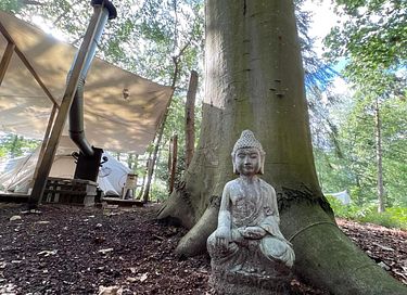 Sterren kijken vanuit je bed in deze glamping - 4