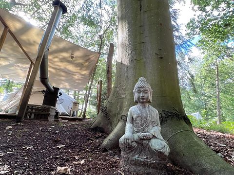 Sterren kijken vanuit je bed in deze glamping - 4