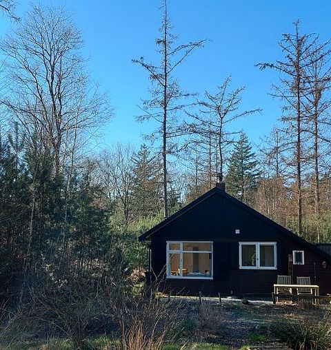 Knus boshuisje met houtkachel  - 2
