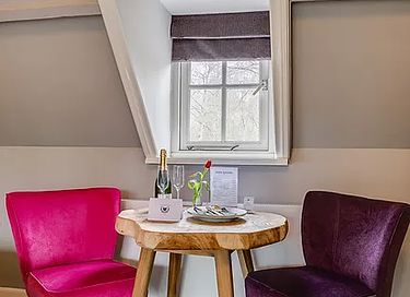 Boutique hotel met prachtige tuin in Haarlem - 20