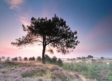 Nature cottage (1-4p) with stunning views - 28