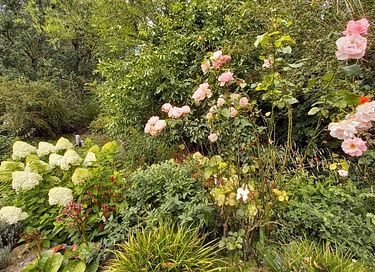 Nature cottage with own jacuzzi and sauna - 24