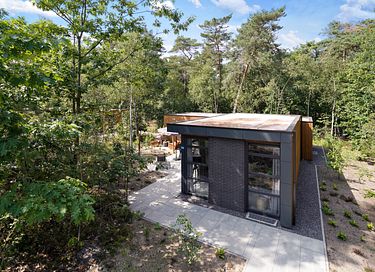 Luxe boshuis op de Veluwe - 2