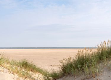 Tente safari dans les dunes de Hollande du Nord - 14