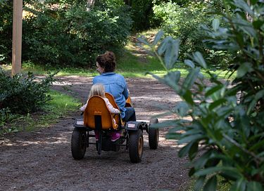 Ruim vakantiehuis in Veluwse bossen - 35