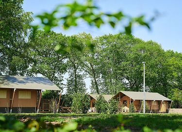 Villatent met privé sanitair op de Veluwe - 17
