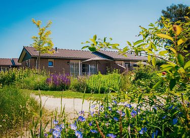 Bungalow (4p) Gelderland