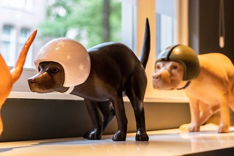 Boutique-Familienzimmer in Amsterdam - 4