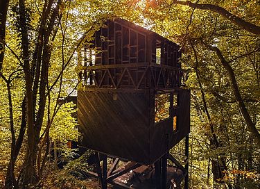 Baumhaus mit Sauna inmitten der Natur