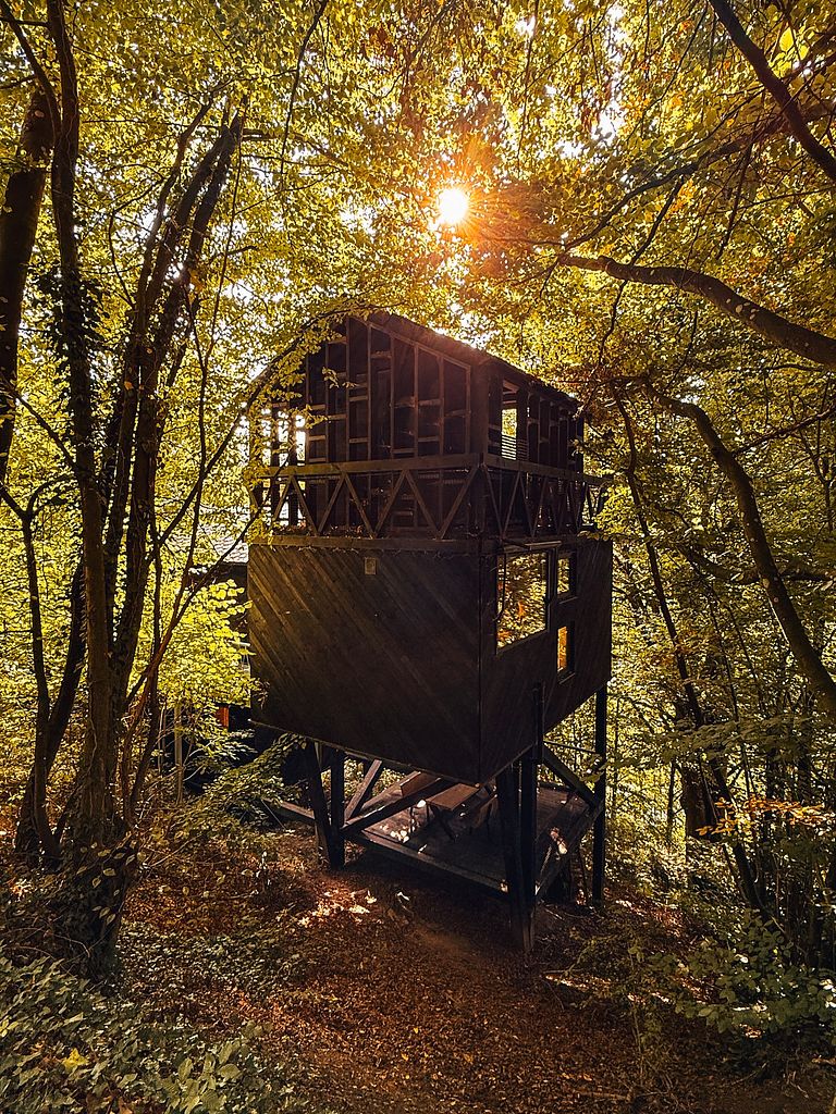 Baumhaus mit Sauna inmitten der Natur - 1