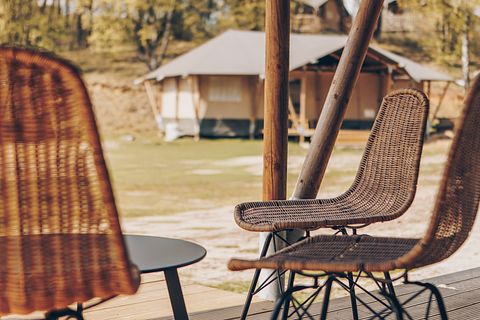 Spacious glamping lodge surrounded by nature; dogs welcome - 4